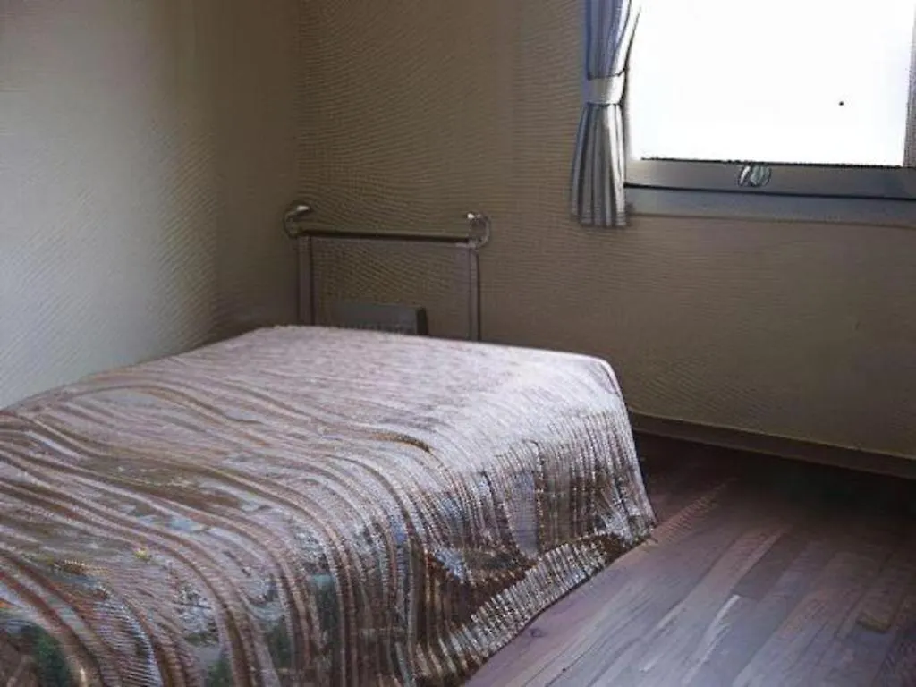 Station Hotel Asahiya Nanae 2*,  Japan